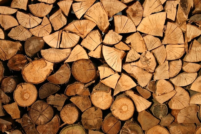 Cutting tree wood winter round wooden stumps